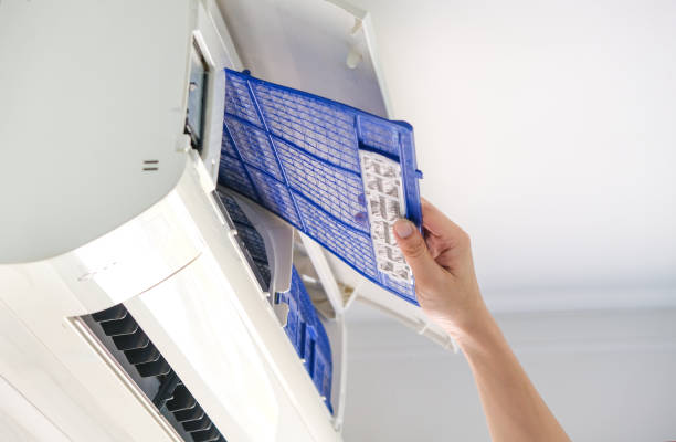 Best Affordable Duct Cleaning Services  in Ellettsville, IN